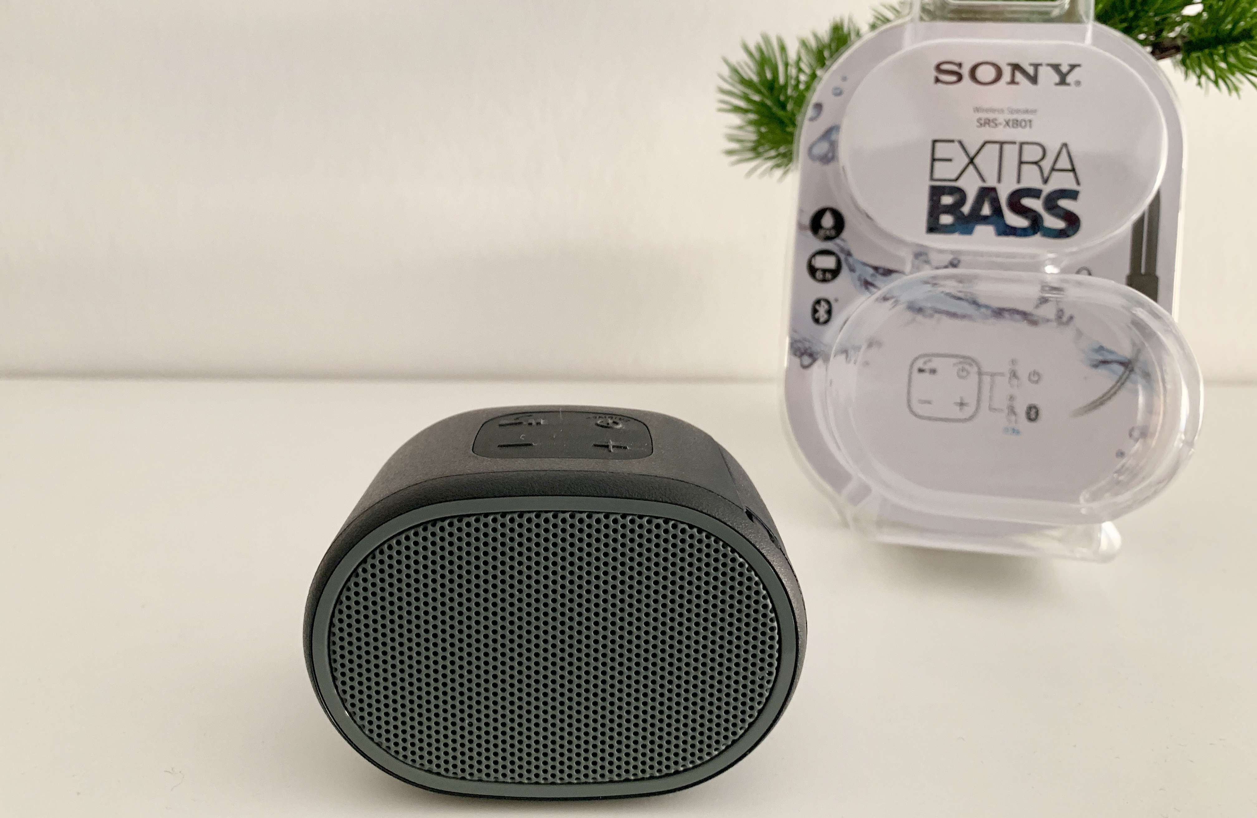 Sony SRS XB01 Test